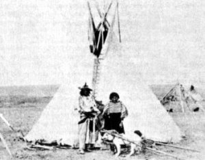 Лагерь неперсе в 1870-х гг., собака, впряженная в волокушу