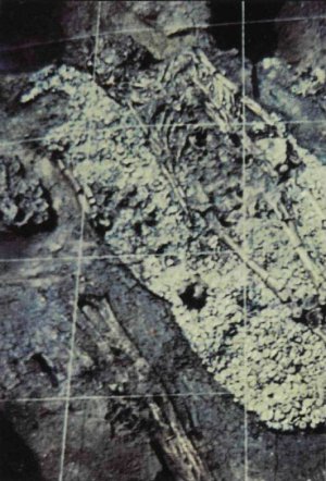 Этот, несомненно, очень важный человек был погребен в маунде № 72 в Кахокья. Его тело возлежит на пышном ложе, со­стоящем из многих тысяч бусин из рако­вин. Каждая бусина была просверлена по центру. Веревки, установленные археолога­ми, делят погребение на квадраты площа­дью в 129 квадратных сантиметров. Стрелка указывает на север.
