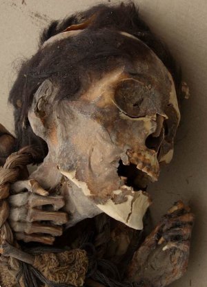 Чилийская мумия возрастом 1000-1500 лет. Фото - Иоанна Какулли / UCLA