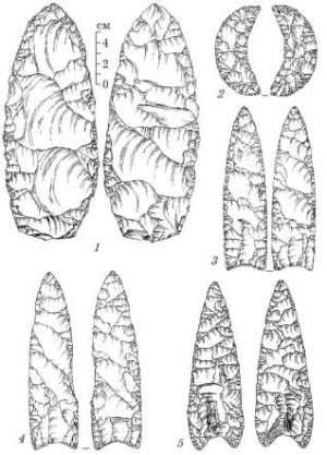Рис. 3 Предметы из комплекса Fenn Cache. 1 – бифасиальная заготовка; 2 –“полумесяц” (кремнистый сланец); 3– наконечник типа кловис; 4 –наконечник типа кловис; 5 – наконечник типа кловис (обсидиан).