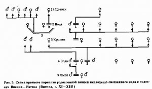 Рис. 3. Схема краткого варианта родословной мписи нисходяще-смешанного вида в кодек­сах Виенна—Нэттол (Виенна, с. XI—XII)