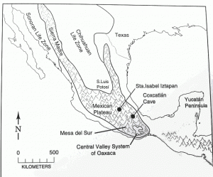 18. Сегодня Мексиканское плато лежит южнее Зоны жизни Чиуауа. Однако, при более прохладном климате позднего ледникового периода, некоторые виды животных и растений, присущие Чиуауа, жили далеко на юге, в Оахаке.