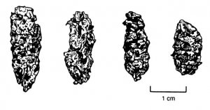 58. Четыре из наиболее ранних маисовых початков из пещеры Сан-Маркос в долине Теуакан.