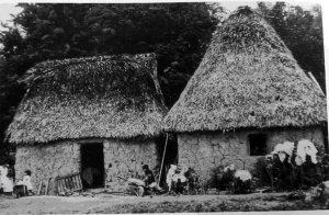 61. Дома-мазанки с крышами из тростника, напоминающие дома, существовавшие 1500 – 1000 лет до н. э., до сих пор используются в некоторых частях долины Оахака.
