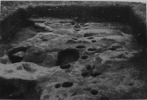 63. Коренная порода под одной из самых ранних деревень Оахаки. Отверстия меньшего размера остались от строительных балок домов; более крупные дыры представляют собой ямы для хранения или земляные очаги.