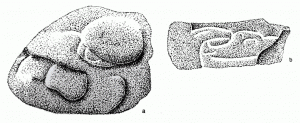 114. Два резных камня из Структуры 2 в Сан-Хосе-Моготе представляют хищника семейства кошачьих (a) и хищную птицу (b). Длина (a) 20 см.