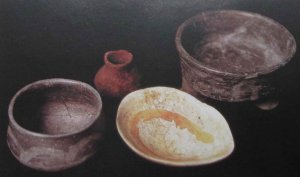 XIII Ритуальный тайник фазы Росарио, содержащий характерные образцы серой керамики с «негативной» белой росписью, а также сосуд, вырезанный из раковины гигантского моллюска (длина 14.5 см). 700 – 500 гг. до н. э.