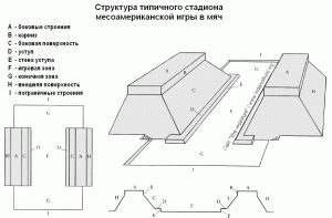 Модель стадиона и используемая терминология.