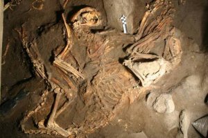 Кости животных, обнаруженные в Захоронении 6. Фото: https://teo.asu.edu