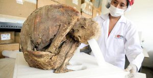 Найденная в Пуручуко мумия. Фото AFP