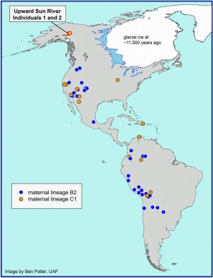 Расположение локации Upward Sun River и распространение двух генетических групп B2 и C1. Рис.: Ben Potter, University of Alaska Fairbanks.