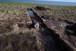 На месте тестовых раскопок в Пойнт Роси, предположительном месте второго поселения викингов в Америке (фото: Роберт Кларк, НГ)