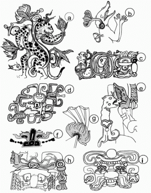 Рисунок 6. Мотив водяной лилии в иконографии древних майя (цветы закрашены) [27]