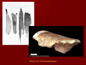 Кости из Тлателькомилы