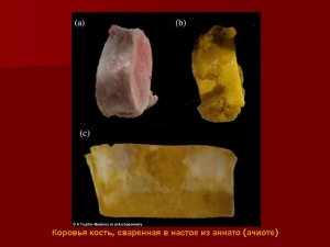 Коровья кость под соусом с аннато