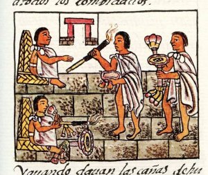 Ритуал торговцев во Флорентийском кодексе Бернардино де Саагуна. а) подарки для знати: трубка для курения табака и цветки подсолнечника