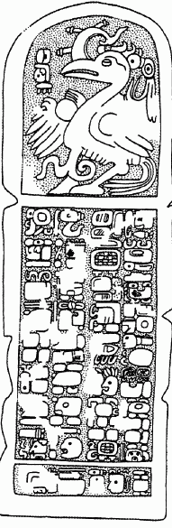 Стела 2 из Чичеен-Ица. Прорисовка Д. Гранья-Беренса
