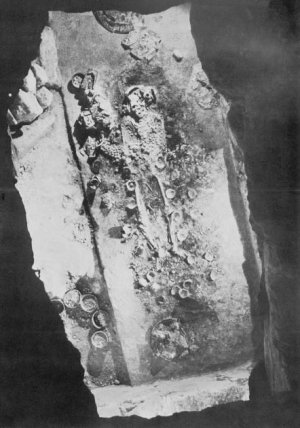 Рис. 97. Фотография погребения 116 из Храма I Тикаля (по Trik, 1963).