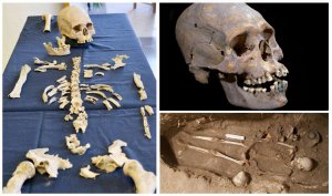 «Госпожа из Тлаилотлакана»: представлен найденный в Теотиуакане в 2014 г. скелет с деформированным черепом и инкрустациями в зубах. Фото: INAH