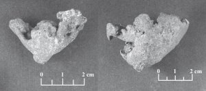 Рис. 6.5. LA 2790/1 (слева) и LA 2790/4 (справа). Оба предмета были найдены в мусорной яме испанского колониального периода, расположенной к востоку от испанских церквей. Там же были обнаружены 5 медных осколков 2 топоров. Предмет слева весит 21,4 гр., а справа – 86 гр. Фото: Дэн Кушел.