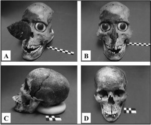 A, B - модифицированные черепа, из которых сделали маски; C, D - нетронутые черепа.