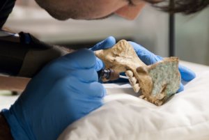Инкрустированный камнями миштекский череп оказался «частичной подделкой». Фото: Национальный музей этнологии в Лейдене