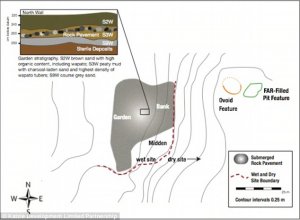 3800-летнее поле «индейского картофеля» найдено в Британской Колумбии. Фото: Katzie Development Limited Partnership