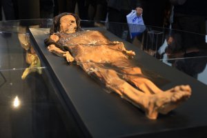 Воссоздано лицо Госпожи Као, чья мумия была найдена в Перу в 2006 году. Фото: Министерство культуры Перу