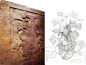 Деталь боковой поверхности надгробной плиты из Паленке – вместе с выросшим деревом возрождается царица Сак-К’ук’. Зарисовка (зеркальное отображение справа): Мерле Грин Робертсон.