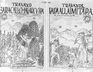 Уборка картофеля (рис. справа) Сбор урожая кукурузы (рис. слева). (с гравюры XVI в.)