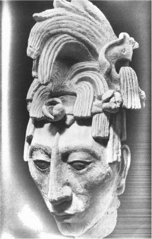 Голова молодого воина из погребального склепа «Храма надписей» в Паленке