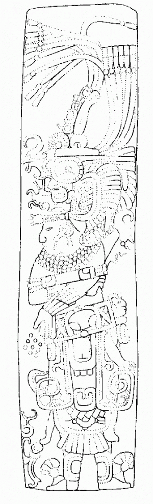Стела 14 из Ним-Ли-Пунита, портрет правителя. Прорисовка Д. Монтгомери