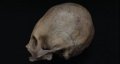 Исследование: у доинкского общества коллагуа деформированный череп был признаком высокого статуса. Фото: M.Velasco/Cornell University/Current Anthropology