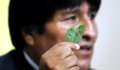 Эво Моралесу судья КС Боливии нагадал на листях коки третий срок президентства