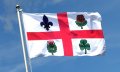 Индейскую символику предлагает добавить на флаг Монреаля его нынешний мэр