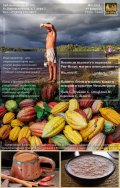 Бразильским индейцам и месоамериканскому какао посвящён февральский семинар Гайавата
