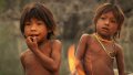 Лучшим фильмом кинофестиваля «Мир знаний» стала лента «Грамматика счастья» об индейцах пираха