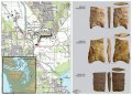 В пригороде Сиэтла найдена древняя 10000-летняя мастерская