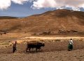 Боливийские фермеры уже ощущают изменение климата