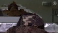 Древнейшие мумии в опасности – изменение климата угрожает наследию культуры чинчорро (видео)