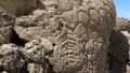 Древние рисунки на скалах в Неваде оказались старейшими петроглифами в Северной Америке. Фото - AP