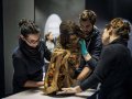 1000-летняя мумия 50-летней женщины станет экспонатом выставки, которая пройдёт в Лионе (Франция)