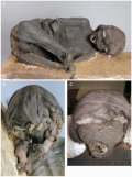 Исследование инкской мумии в Баварии: болезнь Шагаса и ритуальное убийство. Фото - PLOS ONE