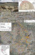 Исследование: элитный статус в каньоне Чако передавался по материнской линии