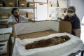 Сканирование приоткрывает тайны древнейших мумий на Земле – мумий Чинчорро