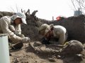 Российские археологи нашли в Эквадоре два погребения и зафиксировали переход от докерамической культуры к керамической. На фотографии Андрей Табарев с коллегой. Фото: НГУ