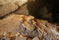 Останки ок. 30 человек были найдены в пещере Ла-Сепультура штата Тамаулипас (Мексика). Фото - INAH