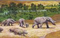 Палеоиндейцы охотились на выживших предков слонов. Рисунок - Gomphothere proboscidean, Sam Matternes, 1964