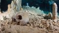 Найденным в 2012 году в пещере на Юкатане останкам молодого человека свыше 13 тысяч лет. Фото: Tom Poole/Liquid Junge Lab