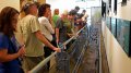 В выставочном центре природного и культурного заповедника Уиден-Айленд в графстве Пинеллас штата Флорида посетители могут теперь увидеть древнее каноэ